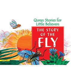 QSLB - The Story of the Fly