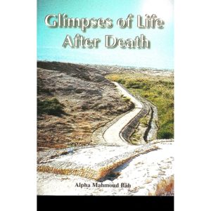Glimpses of Life After Death