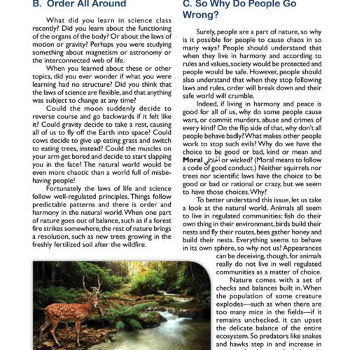 It's ALL About Islam - Level 7