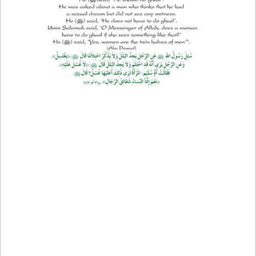 Health and Wellness from an Islamic Perspective - Level 2