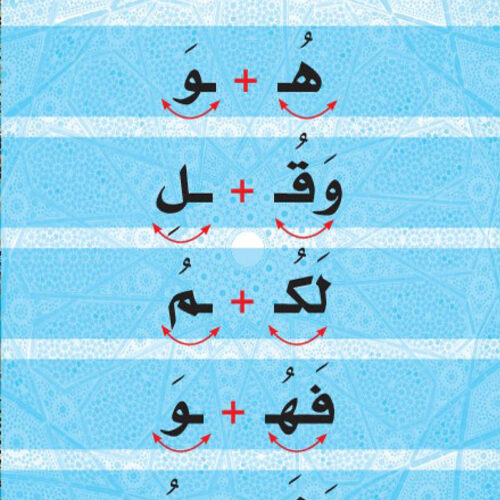 Bidaya Flashcards سلسلة بداية - الكروت التعليمية