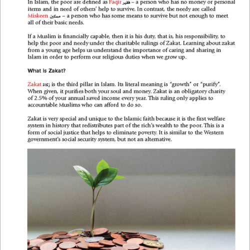 Health and Wellness from an Islamic Perspective - Level 1