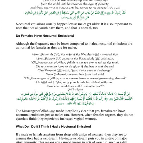 Health and Wellness from an Islamic Perspective - Level 2